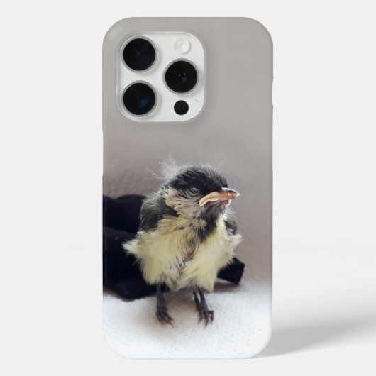 Coques Case-Mate iPhone Tidi my Bird le Parus Major (Verso)