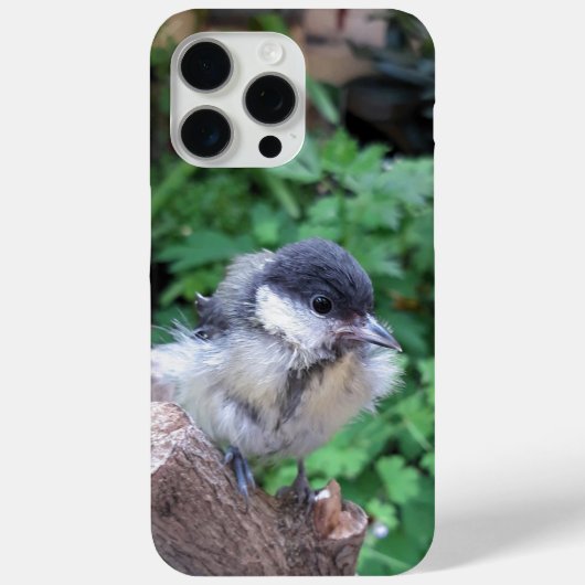 Coques Case-Mate iPhone Tidi my Bird le Parus Major (Verso)