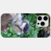 Coques Case-Mate iPhone Tidi my Bird le Parus Major (Verso (horizontal))