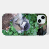 Coques Case-Mate iPhone Tidi my Bird le Parus Major (Verso (horizontal))