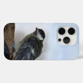 Coques Case-Mate iPhone Tidi my Bird le Parus Major (Verso (horizontal))