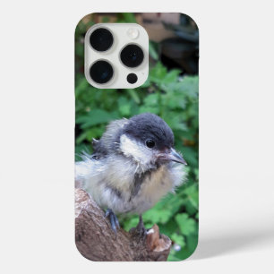 Coque iPhone 15 Pro Tidi my Bird le Parus Major