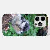 Coques Case-Mate iPhone Tidi my Bird le Parus Major (Verso (horizontal))
