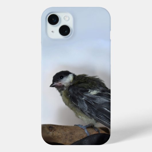 Coques Case-Mate iPhone Tidi my Bird le Parus Major (Verso)