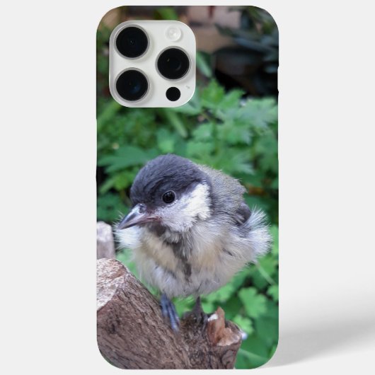 Coques Case-Mate iPhone Tidi my Bird le Parus Major (Verso)