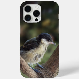 Coque iPhone 15 Pro Max Tidi my Bird le Parus Major
