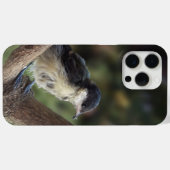 Coques Case-Mate iPhone Tidi my Bird le Parus Major (Verso (horizontal))