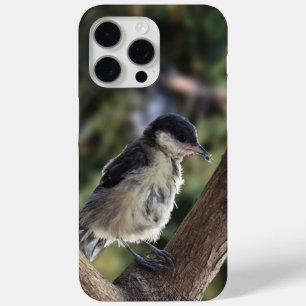 Coque iPhone 15 Pro Max Tidi my Bird le Parus Major