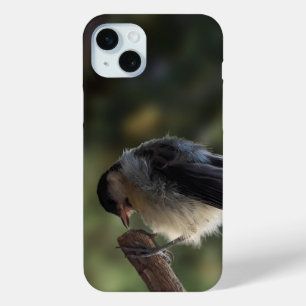 Coque iPhone 15 Mini Tidi my Bird le Parus Major
