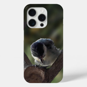 Coque iPhone 15 Pro Tidi my Bird le Parus Major