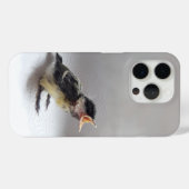 Coques Case-Mate iPhone Tidi my Bird le Parus Major (Verso (horizontal))