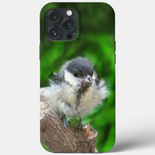 Case-Mate iPhone Case Tidi my Bird le Parus Major