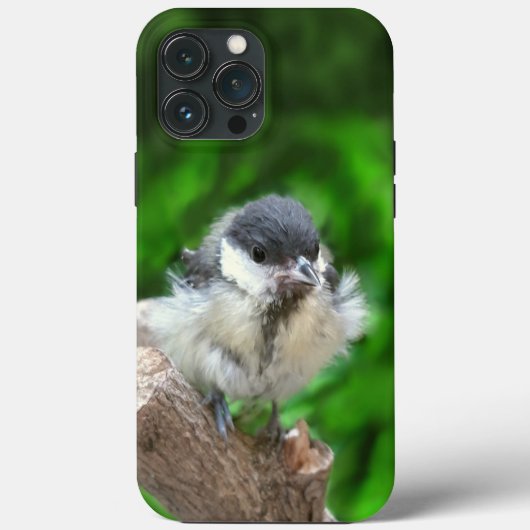Coques Case-Mate iPhone Tidi my Bird le Parus Major (Verso)