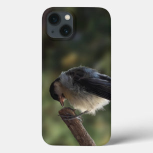 Case-Mate iPhone Case Tidi my Bird le Parus Major
