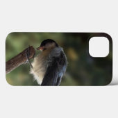 Coques Case-Mate iPhone Tidi my Bird le Parus Major (Verso (horizontal))