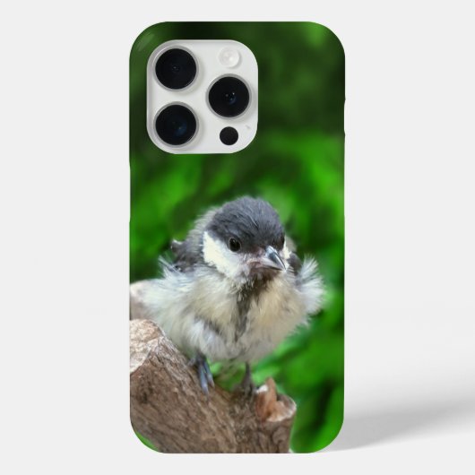 Coques Case-Mate iPhone Tidi my Bird le Parus Major (Verso)