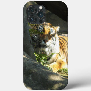 Etui iPhone 13 Pro Max Tiger Catnap