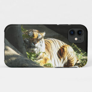 Coque Case-Mate Pour iPhone Tiger Catnap