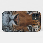 Coques Case-Mate iPhone Tiger Chat Stripes Jungle Mist Animal (Dos (Horizontal))