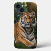 Coques Case-Mate iPhone Tigre (Verso)