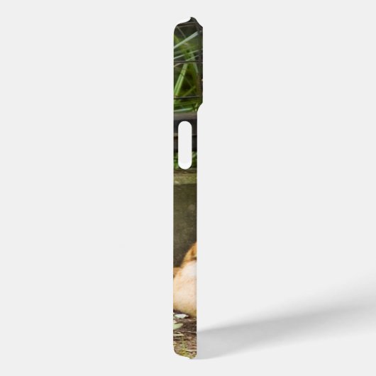 Coques Case-Mate iPhone Tigre (Verso / Droite)