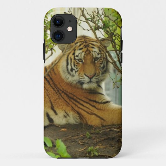 Coques Case-Mate iPhone Tigre dans la forêt (Dos)