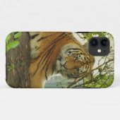 Coques Case-Mate iPhone Tigre dans la forêt (Dos (Horizontal))