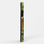 Coques Case-Mate iPhone Tigre dans la forêt (Dos/Droite)