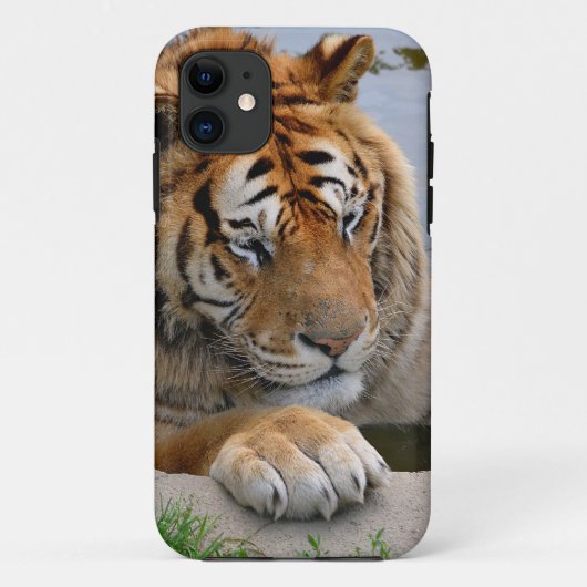 Coques Case-Mate iPhone Tigre dans l'eau (Dos)