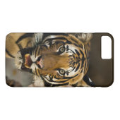 Coques Case-Mate iPhone Tigre de Sibérie (Dos (Horizontal))