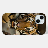 Coques Case-Mate iPhone Tigre de Sibérie (Verso (horizontal))
