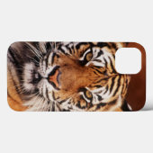 Coques Case-Mate iPhone Tigre de Sumatra (Verso (horizontal))