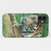Coques Case-Mate iPhone Tigre de Sumatra sur l'iPhone 5 à peine là (Dos (Horizontal))
