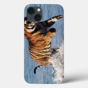 iPhone 13 Coque Tigre du Bengale (Panthera Tigris)