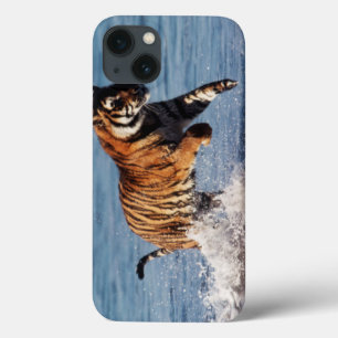 Case-Mate iPhone Case Tigre du Bengale (Panthera Tigris)