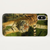 Coques Case-Mate iPhone Tigre Étirement Bon Matin (Dos (Horizontal))