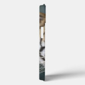 Coques Case-Mate iPhone Tigre masculin de Sumatran (sumatrae du Tigre de (Verso / Droite)