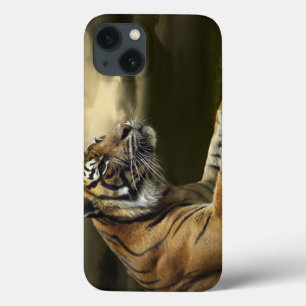 Coques Pour iPhone Tigre regardant et se reposant sous le ciel