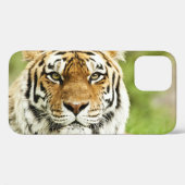Coques Case-Mate iPhone Tigre Sibérien Rare : En danger de repos (Verso (horizontal))