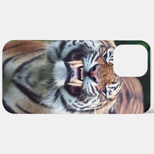 Coques Case-Mate iPhone "Tigre Tooth" (Verso / Droite)