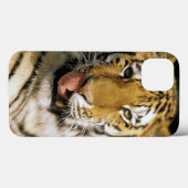 Coques Case-Mate iPhone Tigre Zoo du Michigan (Verso (horizontal))