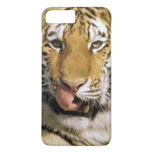 Coque iPhone 8 Plus/7 Plus Tigre Zoo du Michigan