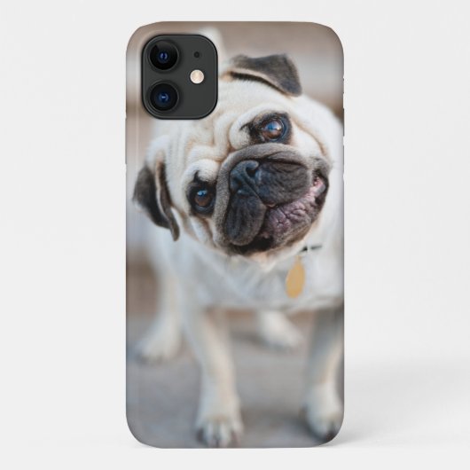 Coques Case-Mate iPhone Tillette Carlin (Dos)