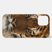 Coques Case-Mate iPhone Tir de Sibérie (Verso (horizontal))