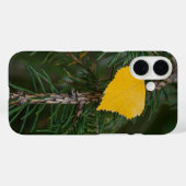 Coques Case-Mate iPhone Tombe Jaune Aspen Quitter Photographie (Verso (horizontal))