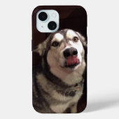 Coques Case-Mate iPhone Tongue apprentissage Malamute de l'Alaska (Verso)