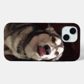 Coques Case-Mate iPhone Tongue apprentissage Malamute de l'Alaska (Verso (horizontal))