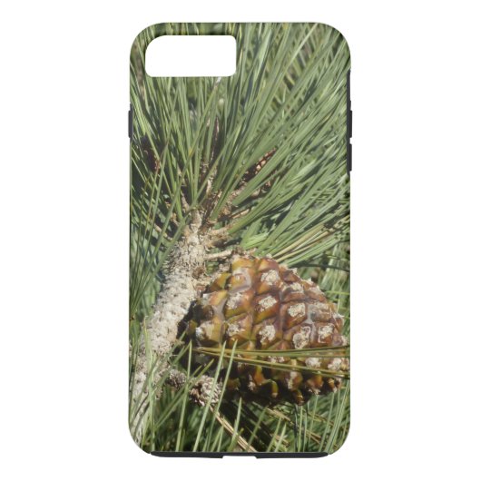 Coques Case-Mate iPhone Torrey Pine Closeup California Botanical (Dos)
