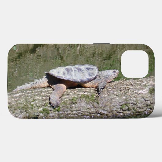 Coques Case-Mate iPhone Tortue (Verso (horizontal))