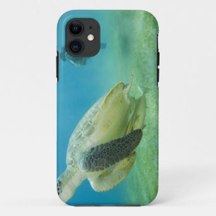 Coque Case-Mate Pour iPhone Tortue